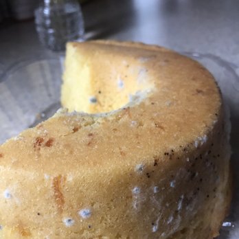 Miranda Bread - this cake was made "8 days ago" according to the label. there is mold all over it. - Bakeries Near Me - Worcester, Massachusetts Miranda Bread - this cake was made "8 days ago" according to the label. there is mold all over it. - Bakeries Near Me - Worcester, Massachusetts