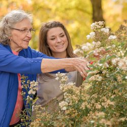 Assisting Hands Home Care