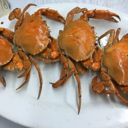 海港食家