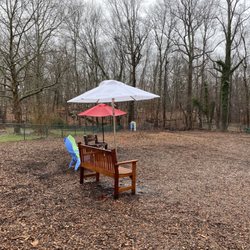 Short Beach Dog Park