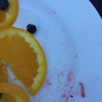 LakeSide Cafe - Hairy fruit plate (in fairness, they comp'ed it) - Cafes Near Me - Lake Ozark, Missouri LakeSide Cafe - Hairy fruit plate (in fairness, they comp'ed it) - Cafes Near Me - Lake Ozark, Missouri