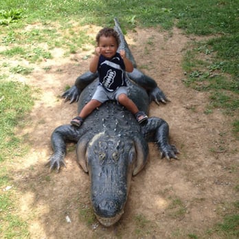 Natural Bridge Zoo - Gator Hunter - Zoos Near Me - Natural Bridge, Virginia Natural Bridge Zoo - Gator Hunter - Zoos Near Me - Natural Bridge, Virginia