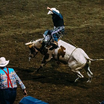 Cody Stampede Rodeo - Bull-riding. It's as punishing as it looks. - Rodeo Near Me - Cody, Wyoming Cody Stampede Rodeo - Bull-riding. It's as punishing as it looks. - Rodeo Near Me - Cody, Wyoming