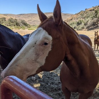 Baja By Horse - Horseback Riding Near Me - La Misión, BCN