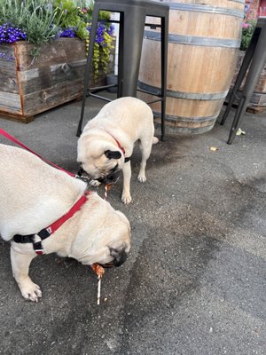 Internos Beer and Wine Bar by null