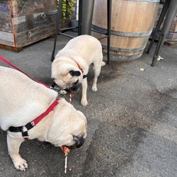 Internos Beer and Wine Bar - Treats for the boys, beer and wine for us