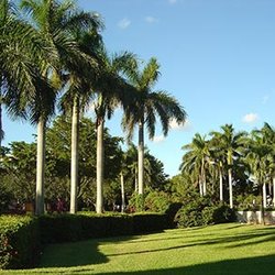 Sunway Landscape Services