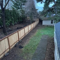 Family Landscaping - Vine and leave removal and took to the dump.