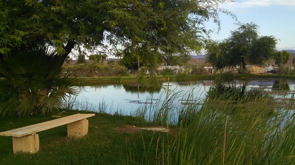 LA PAZ COUNTY PARK - Updated August 2024 - 25 Photos & 27 Reviews