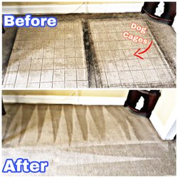 I Clean Carpet And So Much More
