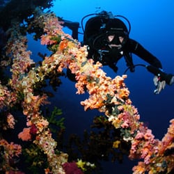 Underwater