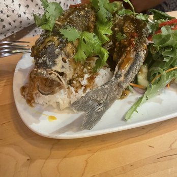 Malai Kitchen - Fish - Vietnamese Near Me - Southlake, Texas Malai Kitchen - Fish - Vietnamese Near Me - Southlake, Texas