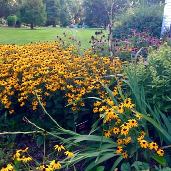 Shelter Gardens - Lovely flowers in Shelter Gardens - Parks Near Me - Columbia, Missouri Shelter Gardens - Lovely flowers in Shelter Gardens - Parks Near Me - Columbia, Missouri