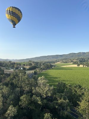 Napa Valley Bike Tours & Rentals by null