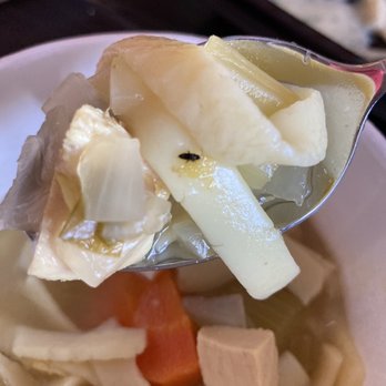 Gilbert's Lodge - Some type of bug in chicken noodle soup - Sports Bars Near Me - Saint Clair Shores, Michigan Gilbert's Lodge - Some type of bug in chicken noodle soup - Sports Bars Near Me - Saint Clair Shores, Michigan
