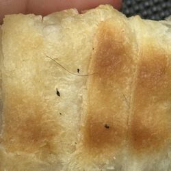 A PUBIC HAIR