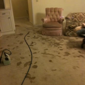 Amarillo Steam Team - Before: Result of un treated Pet Damage - Carpet Cleaning Near Me - Amarillo, Texas