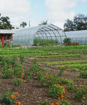 Meacham Urban Farm by null
