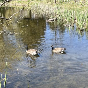 Humber Arboretum - Botanical Gardens Near Me - Toronto, Ontario