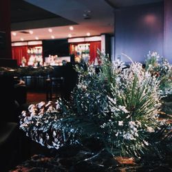Recovery Lounge - Season's Greetings!
