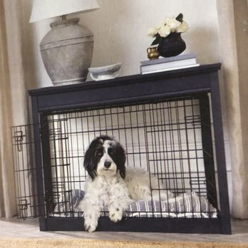 PetSmart Dog Training - super cool frame for your puppy crate - Pet Stores Near Me - Antioch, California PetSmart Dog Training - super cool frame for your puppy crate - Pet Stores Near Me - Antioch, California