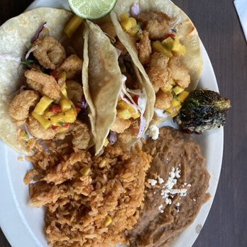 Nopal - Camaron (shrimp) tacos - Mexican Near Me - Gainesville, Florida