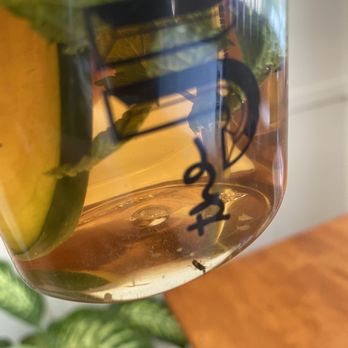 The Juice - Bug in Cucumber, Mint Alkaline Water - Live/Raw Food Near Me - Los Angeles, California