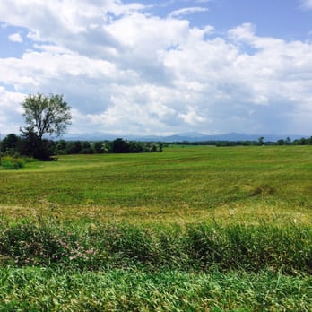 Willie's BBQ - View while we ate lunch at willies!  Doesn't get any better than this! - Southern Near Me - Benson, Vermont