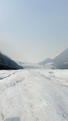 Columbia Icefield by null