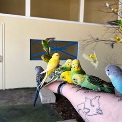 user provided Blue Zoo Aquarium Des Moines photo