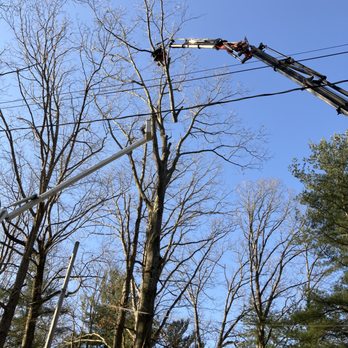 Nicols Tree Service - Tree Services Near Me - Conneaut Lake, Pennsylvania Nicols Tree Service - Tree Services Near Me - Conneaut Lake, Pennsylvania