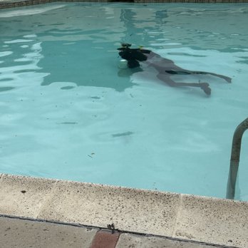 Aquaman Leak Detection - Plumbing Near Me - Pasadena, California