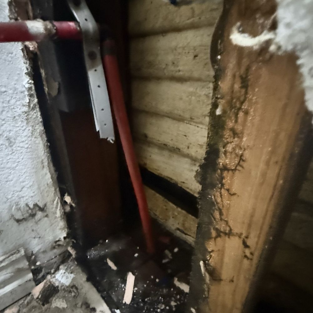 Mondragon Mechanical Air Conditioning & Heating - Extreme water and mold damage - Heating & Air Conditioning/HVAC Near Me - Dallas, Texas Mondragon Mechanical Air Conditioning & Heating - Extreme water and mold damage - Heating & Air Conditioning/HVAC Near Me - Dallas, Texas