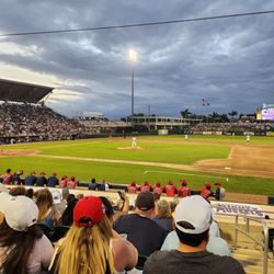 Minnesota Twins Baseball