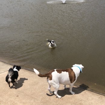 Cedar Bark Park - Dog Parks Near Me - Cedar Park, Texas Cedar Bark Park - Dog Parks Near Me - Cedar Park, Texas