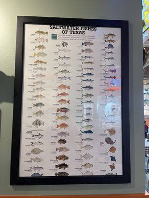 Menu photo 5 Flying Fish Coppell, TX