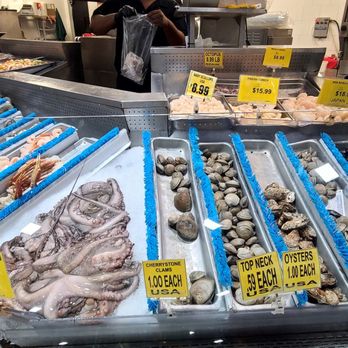 Gala Fresh - D' Gala Fresh clams, oysters, mussels Sun 12/21/25 - Grocery Near Me - Greenacres, Florida Gala Fresh - D' Gala Fresh clams, oysters, mussels Sun 12/21/25 - Grocery Near Me - Greenacres, Florida