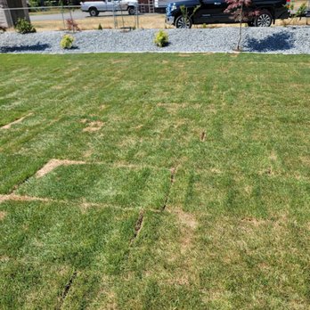 JB Instant Lawn - Nurseries & Gardening Near Me - Redmond, Washington