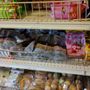 Photo of Five Mile International Super Market