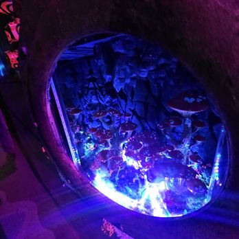 Fathom Roboto Octopodo - 2/16/2025 - What a fun, immersive art exhibit! - Art Tours Near Me - Portland, Oregon