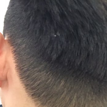 Studio NN - This is so called blended. - Hair Stylists Near Me - San Diego, California Studio NN - This is so called blended. - Hair Stylists Near Me - San Diego, California