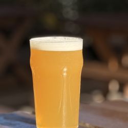 Cerveceria Del Pueblo - "Patria" Hazy IPA