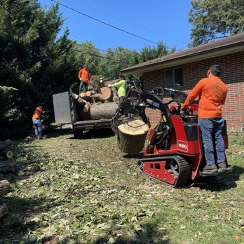 Italy Tree Expert - Tree Services Near Me - Gaithersburg, Maryland Italy Tree Expert - Tree Services Near Me - Gaithersburg, Maryland