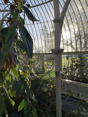 National Botanic Gardens by null