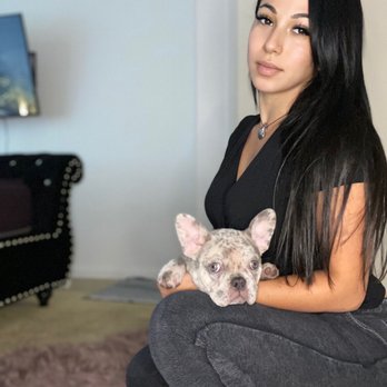 Got Frenchie? - She's a girls best friend - Pet Breeders Near Me Got Frenchie? - She's a girls best friend - Pet Breeders Near Me