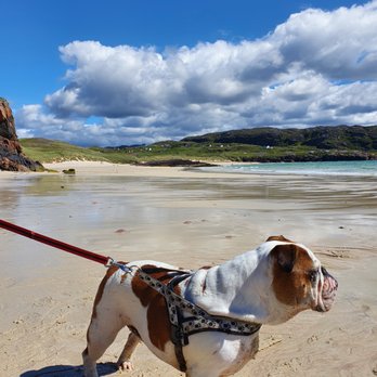 Oldshoremore Beach - Beaches Near Me - Oldshoremore