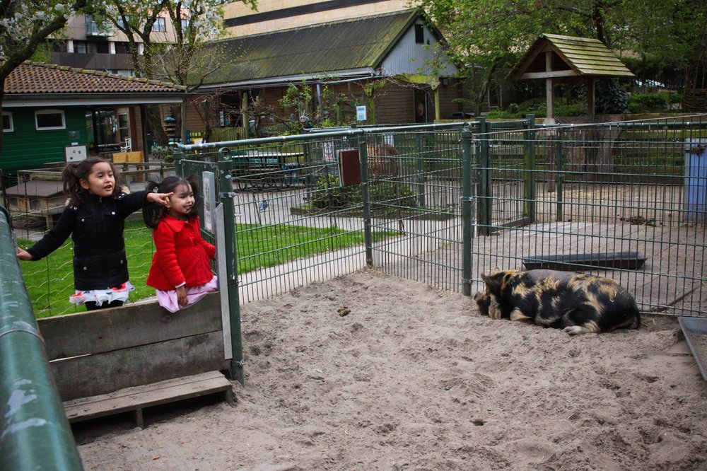 KINDERBOERDERIJ DE PIJP - Updated July 2025 - 19 Photos - Lizzy