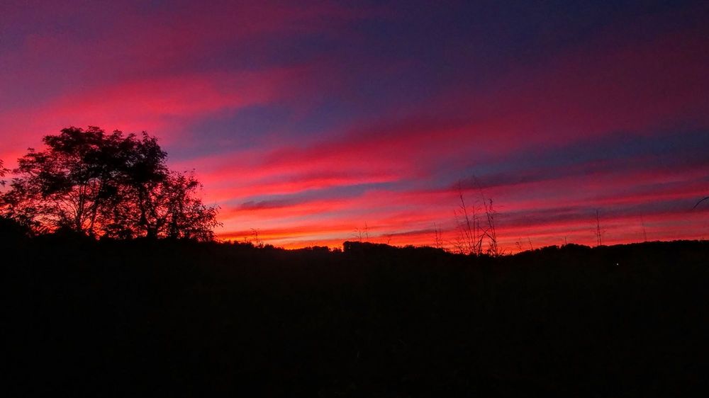 PILOT TRAVEL CENTER 18 Photos 3663 Roy Messer Hwy, White Pine, TN