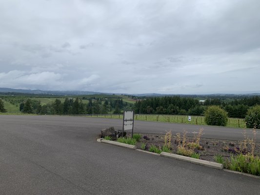 Ponzi Vineyards by null