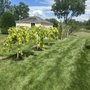 Magothy Landscapes